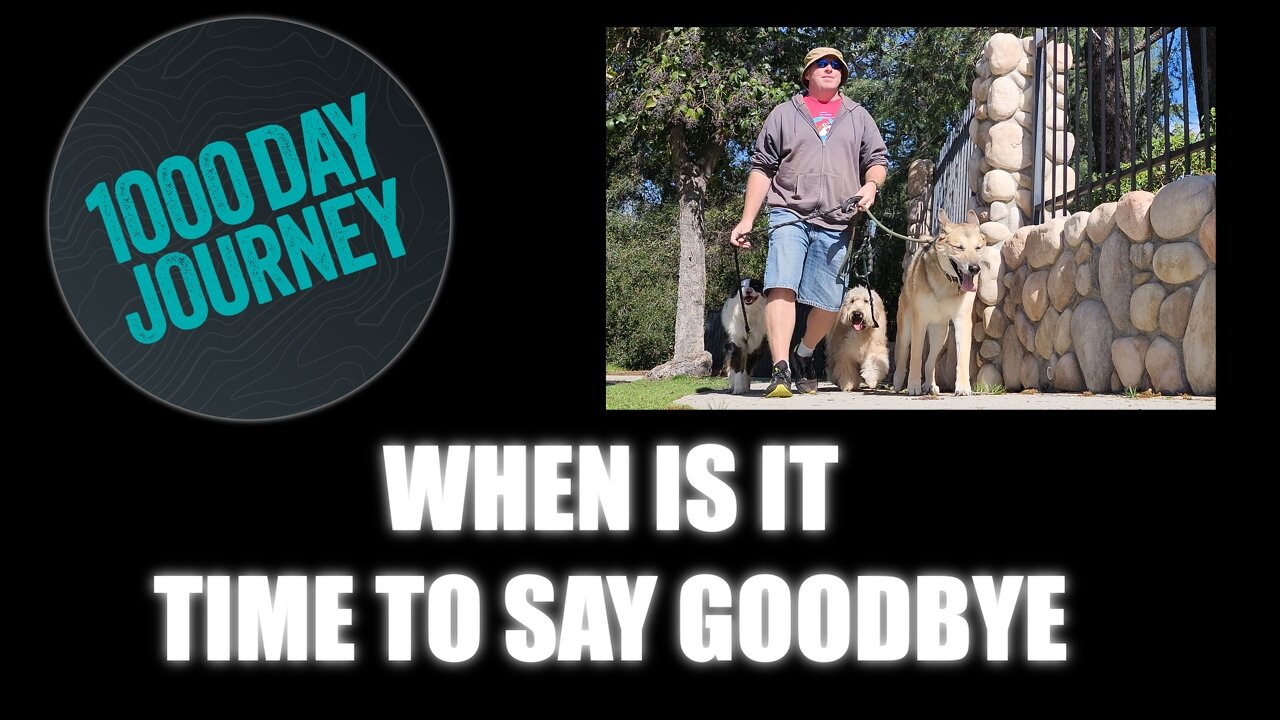 1000 Day Journey 0242 When is it time to say goodbye to a pet?