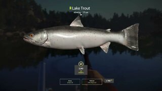 Russian Fishing 4 Kuori lake Lake Trout 6.846 Kg