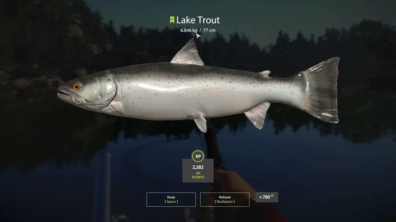 Russian Fishing 4 Kuori lake Lake Trout 6.846 Kg