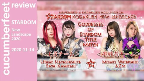 STARDOM New Landscape 2020 (Review)