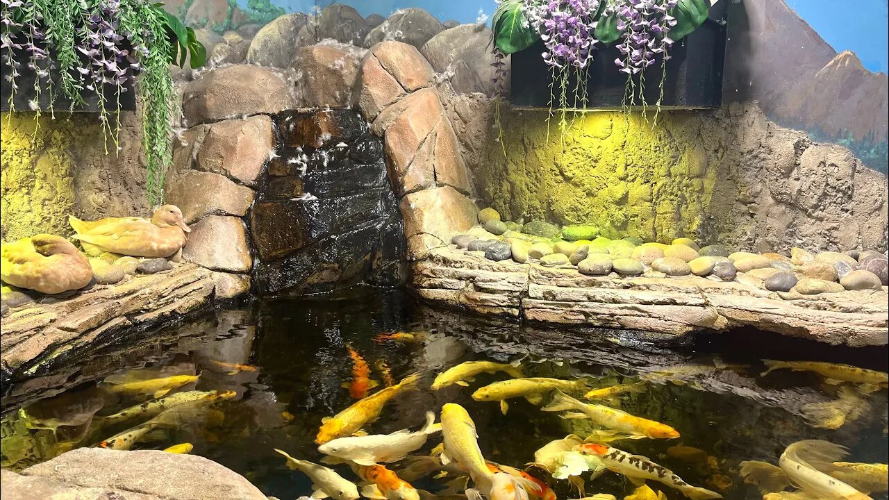 Sea Quest at Trumbull mall, Connecticut