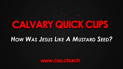 How Was Jesus Like A Mustard Seed?