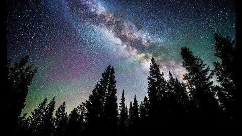 there are more trees on Earth than stars in the Milky Way