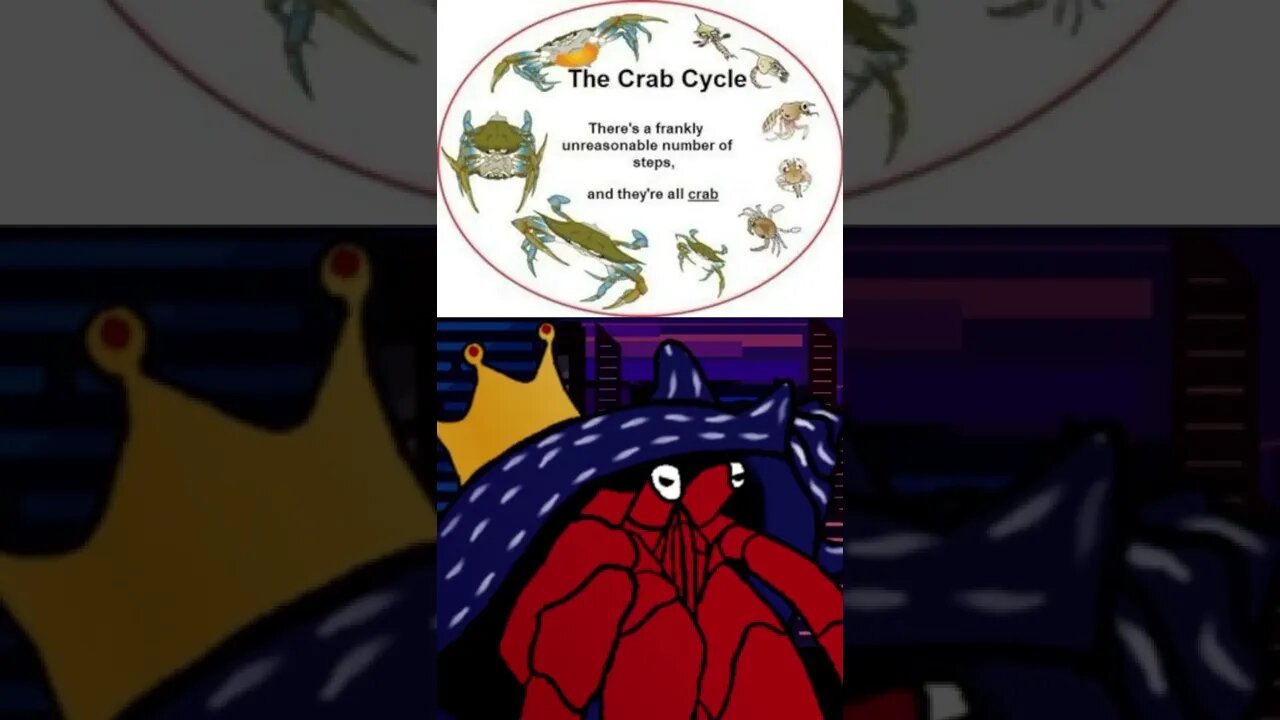 The crab cycle #Shorts