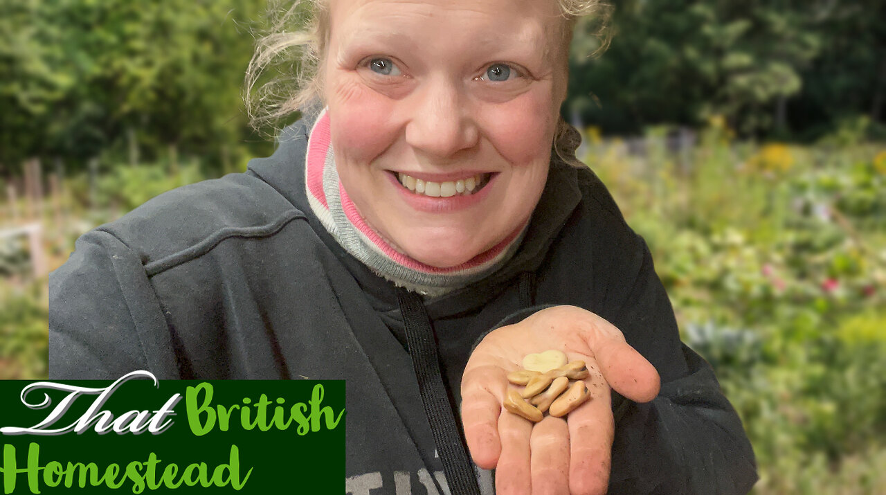 Sowing seeds NOW for a SPRING HARVEST: Allotment Garden