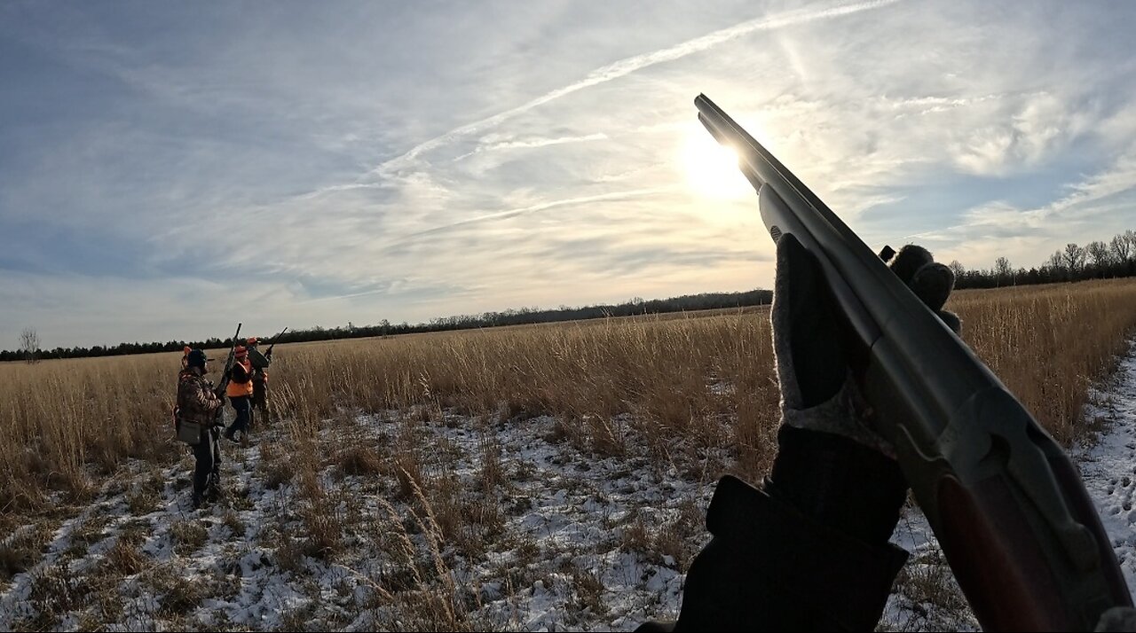 Pheasant Hunt Highlights 2024