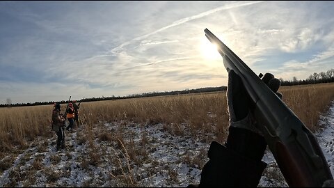 Pheasant Hunt Highlights 2024