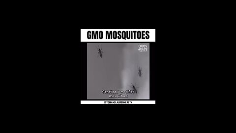 MOSQUITOES FROM BILL GATES GMO