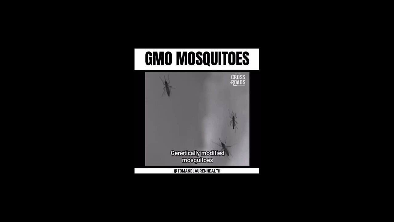 MOSQUITOES FROM BILL GATES GMO