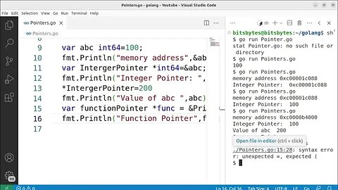 Go-lang Pointers: Unleashing the Power of Memory Manipulation By Bits Bytes