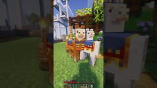 Minecraft 1.19 Realms New Shaders & Mods Survival Multiplayer Series Java SMP (Join Discord for IP!)