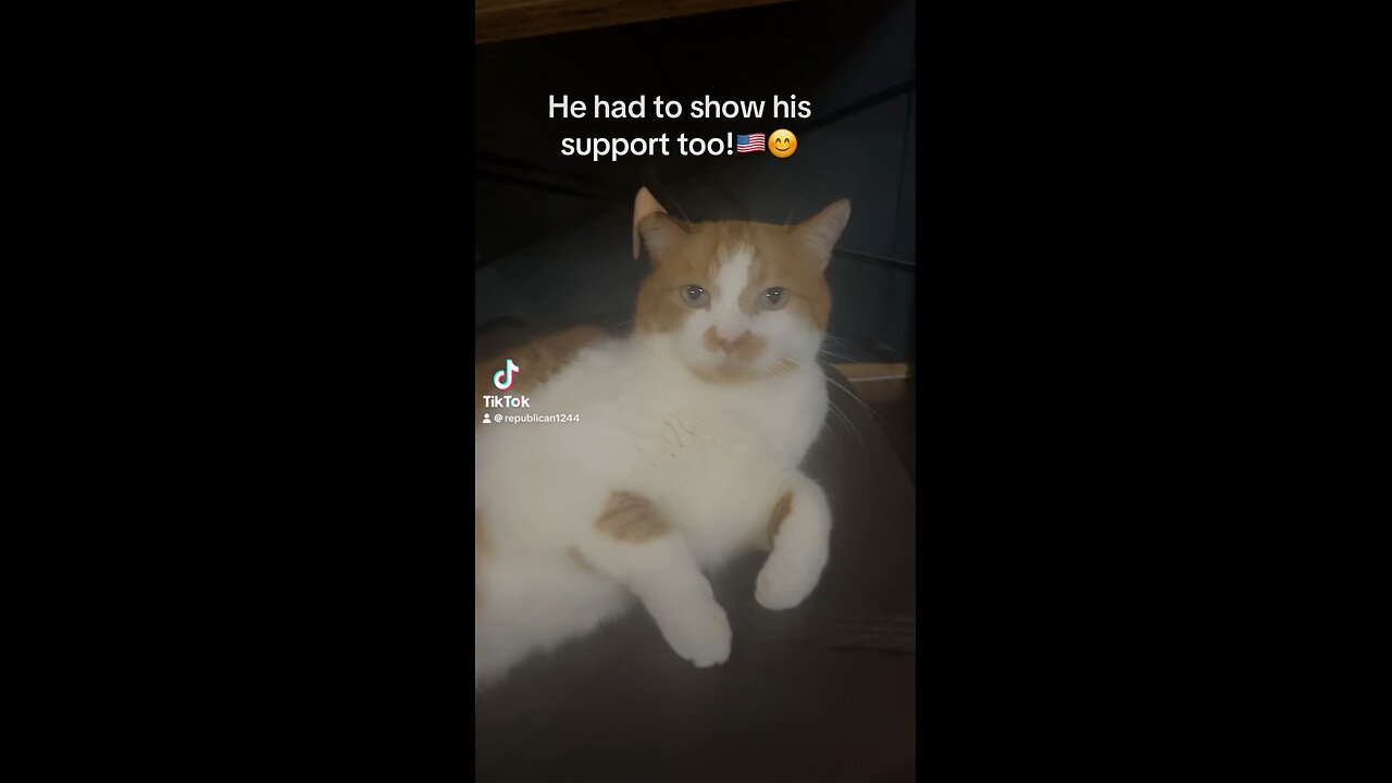 Tubbers is showing his support🇺🇸