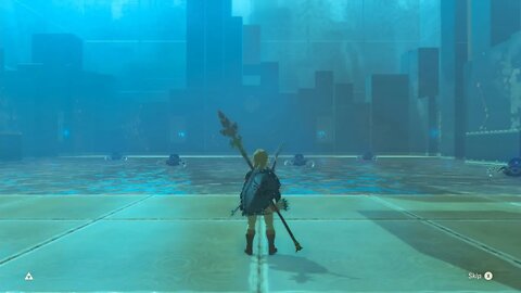 Breath of the Wild Master Mode 189