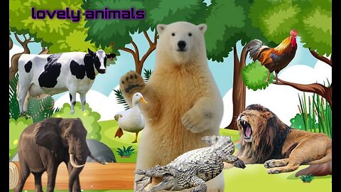 Lovely animals, wildlife animal sound, elephant, crocodile, duck, chicken, snake, etc..