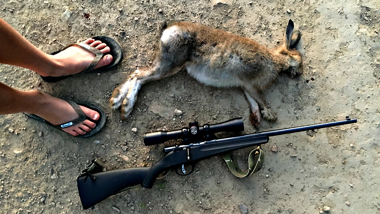 My Son Jatta's 1st Hunt: Rabbits - 2019