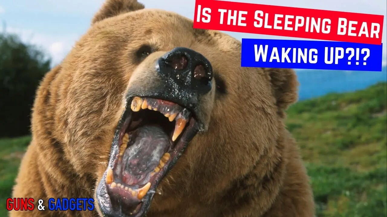 Is The Sleeping Bear Waking Up?!?