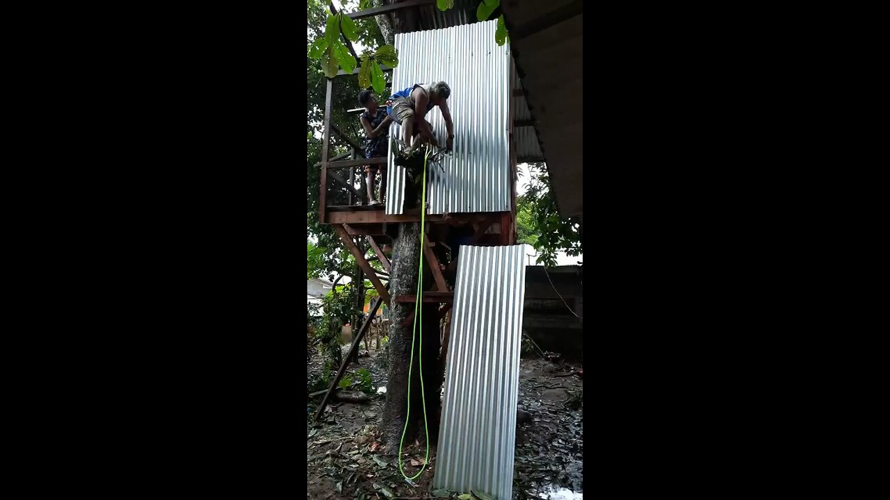 Tree house safety