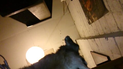 Hiya - kungfu robs energy attack