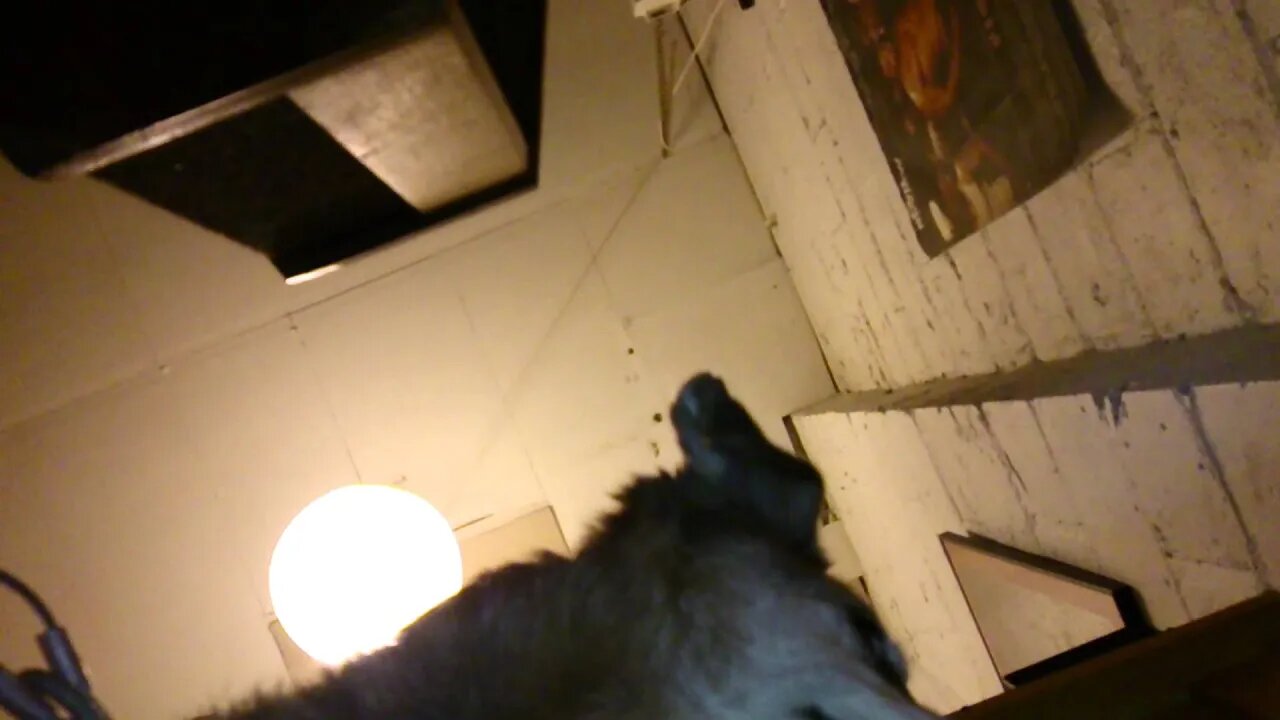 Hiya - kungfu robs energy attack