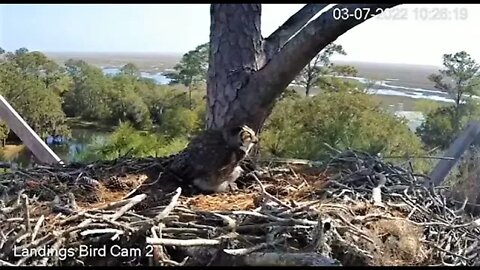 Having Brunch Out on The Veranda 🦉 3/7/22 10:25