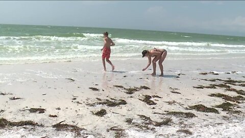 Despite red tide concerns, Tampa Bay area businesses see boost during spring break