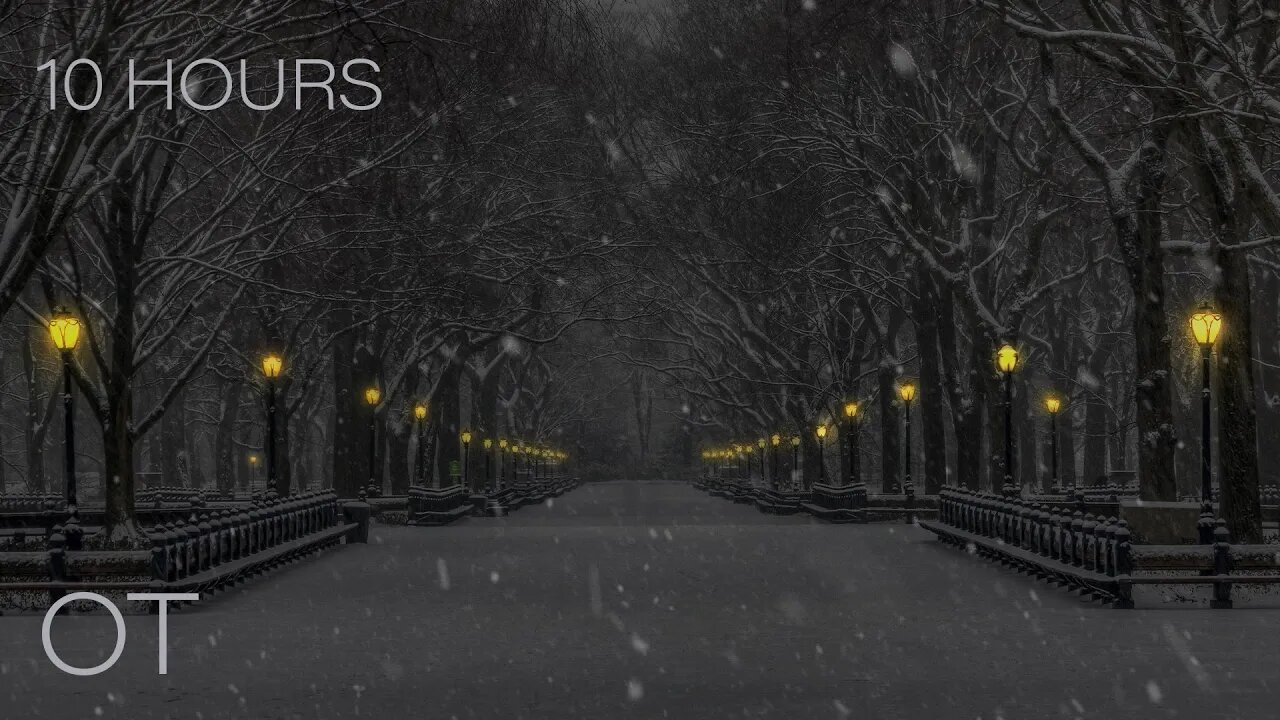 Blizzard in Central Park | Howling Wind & Blowing Snow | Relax | Study | Sleep | Winter Ambience