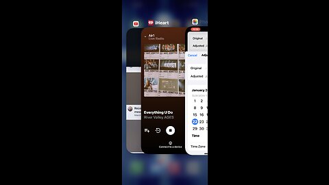 🎼🦁🎁🎁🎁🎁🎁🦁🎼