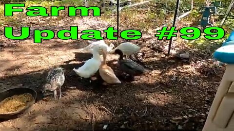 Farm Update #99