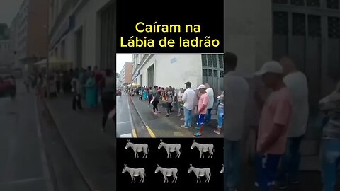 Brasil não é pra amadores 🤣😂 Brazil is not for amateurs 🤣😂