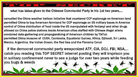 Tucker Carlson Interview 2023 Synopsis