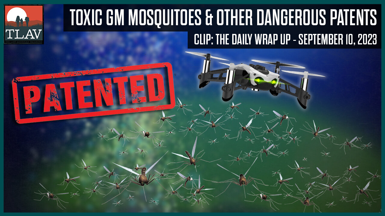 Toxic GM Mosquitoes and Other Dangerous Patents