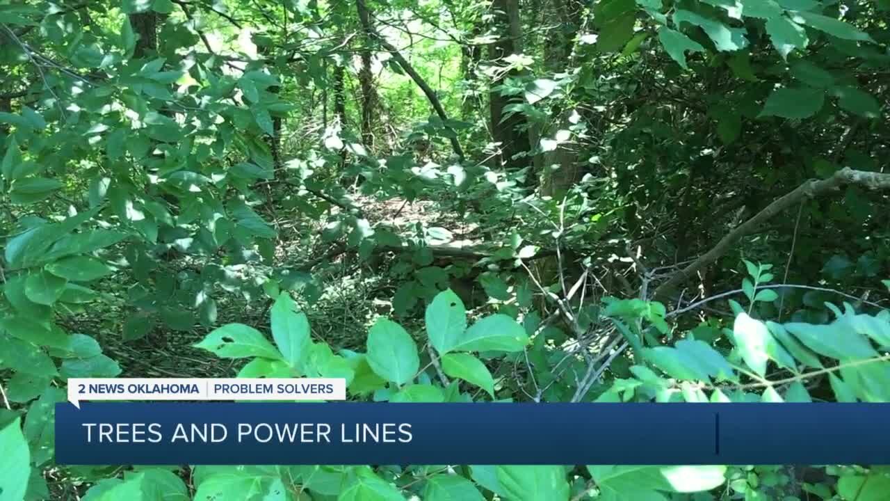 Okmulgee homeowner's power impacted by neglected property