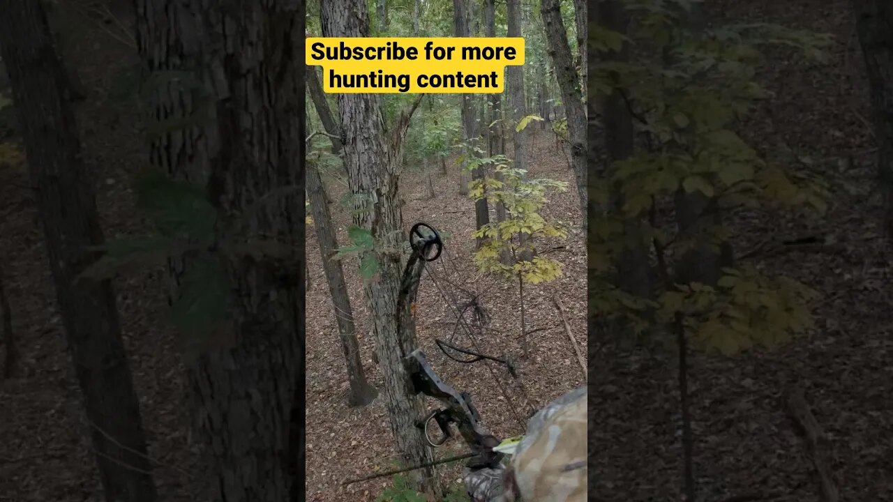 Virginia Bow Hunt #hunting #deer #deerhunting #throwbackthursday #shortsfeed #shortvideo #short