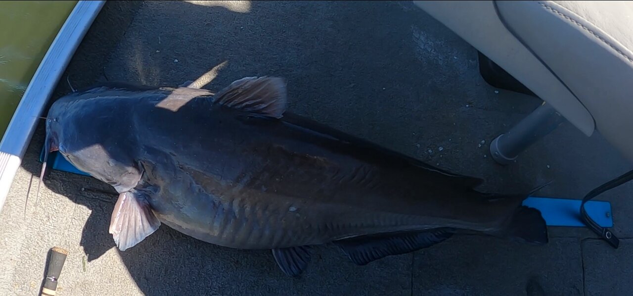 Catfishing on a Windy Day and How God Used Fishing to Save My Life