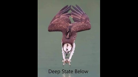 How many before Washington?