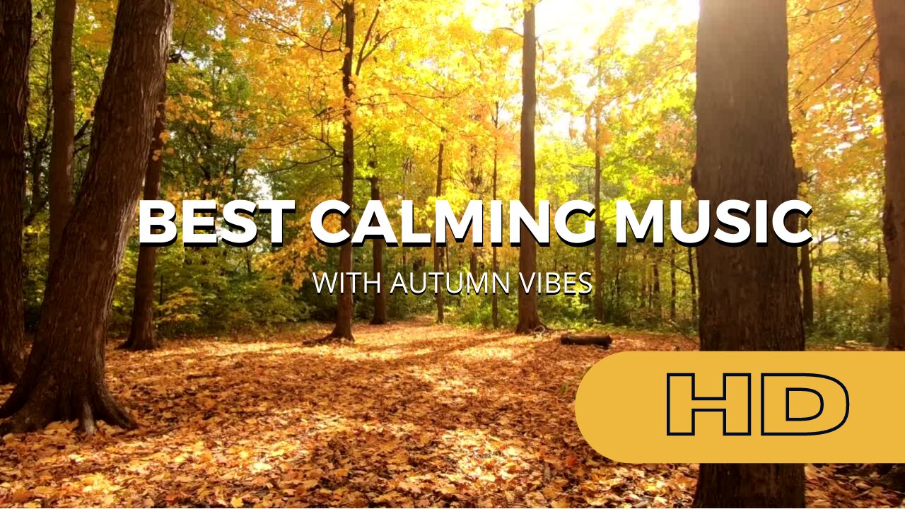 Calming Music and amazing autumn videos - Stress relief, study, ambience and fall asleep