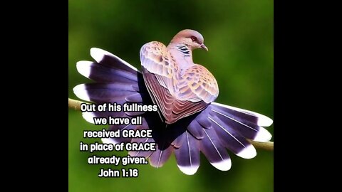 🕊My GRACE is sufficient for You 🕊