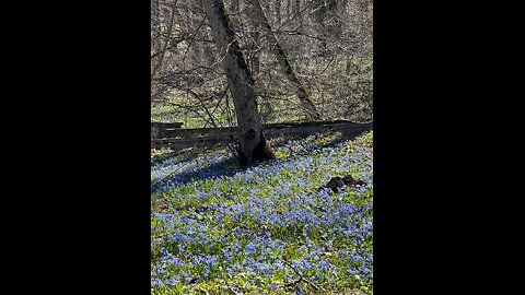Spring from Mashuk