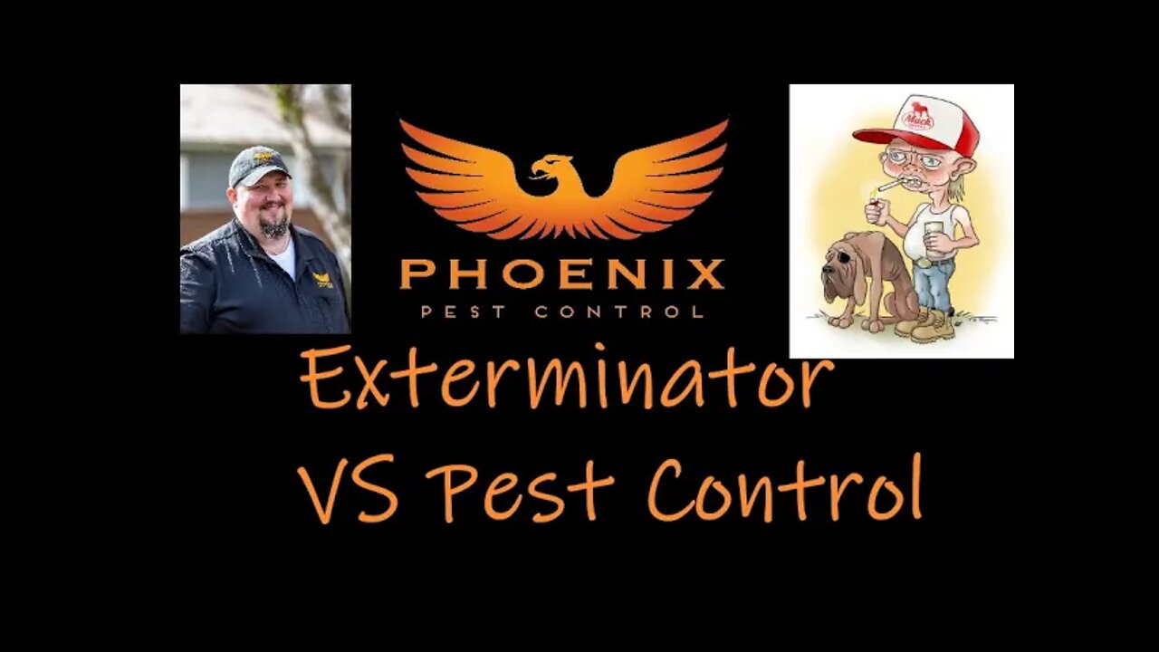 Exterminator VS Pest Control #whatbugsme