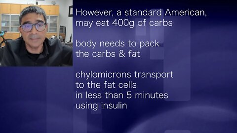 Nadir Ali: How to measure your metabolic health: insulin sensitivity or insulin resistance