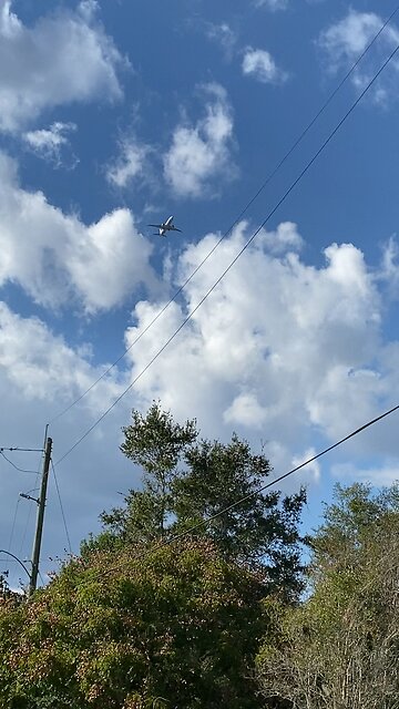 Navy Flights in Jax
