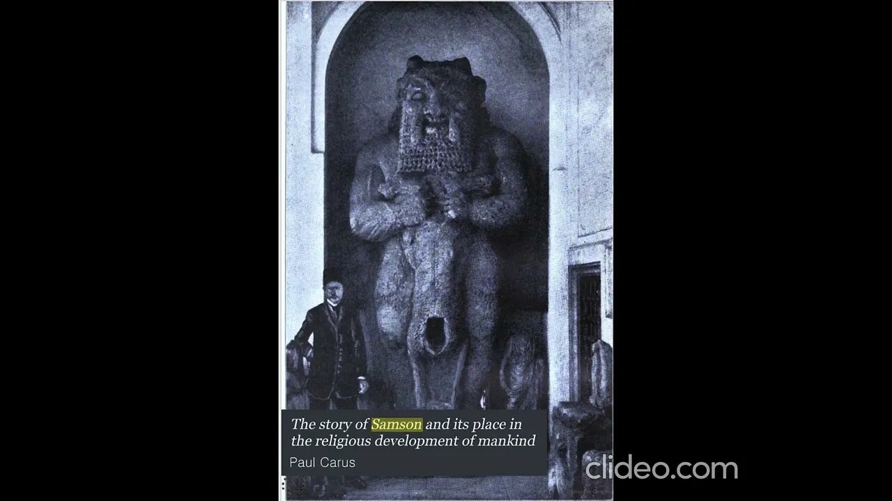 Samson's Seven Locks or Plaits #samson #locks #plaits #history