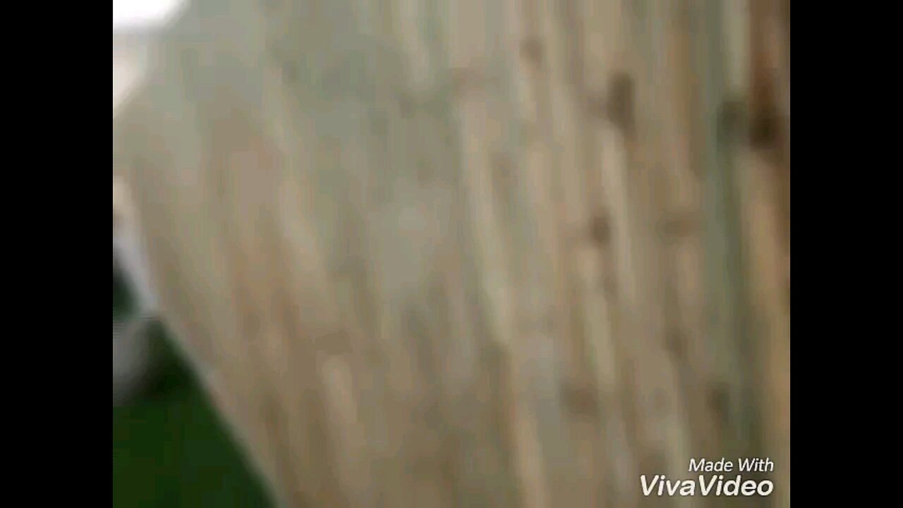 Round bamboo stick wall fencing