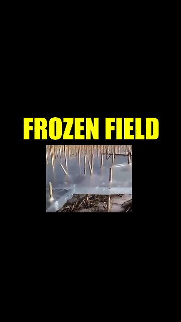 Frozen Field