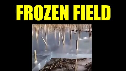 Frozen Field