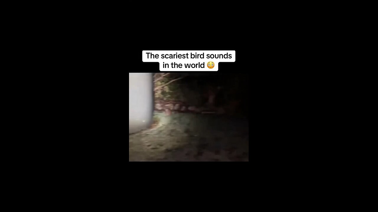 The scariest Bird sounds in the world