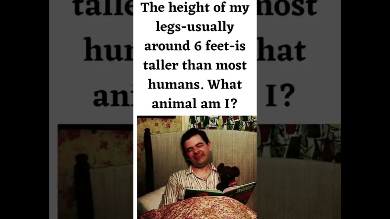The height of my legs—usually around 6 feet—is taller than most humans What animal am I