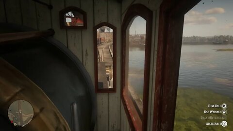 #REDDEADREDEMPTIONII RED DEAD REDEMPTION II Diving the Train🚂