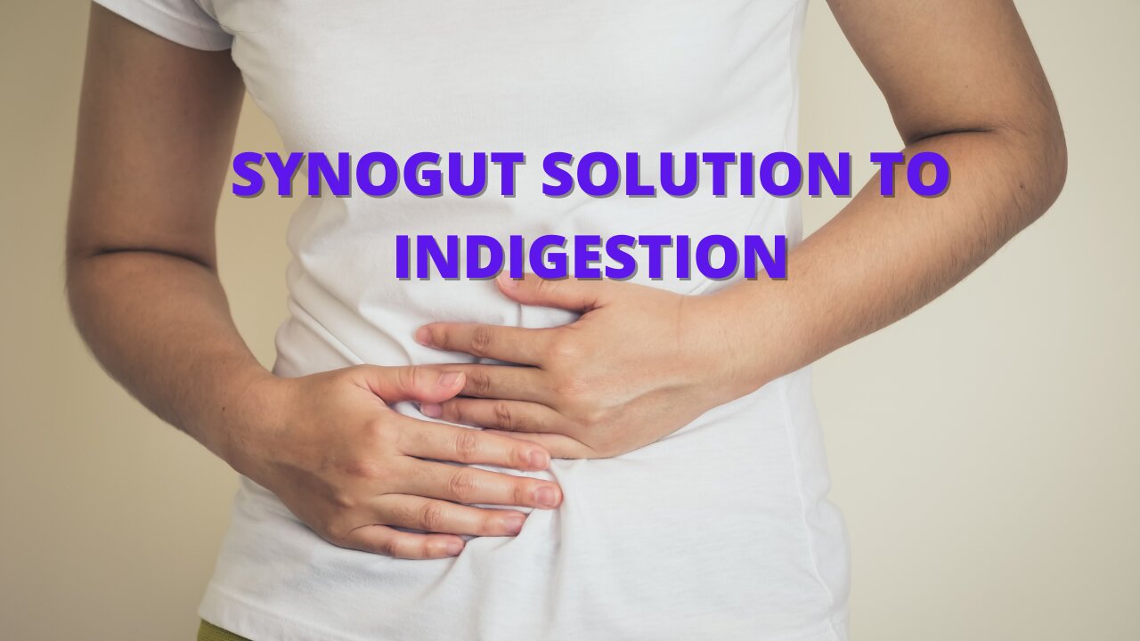 Synogut - New Winner In The Poop Niche 101: 21 Steps To Synogut Success: