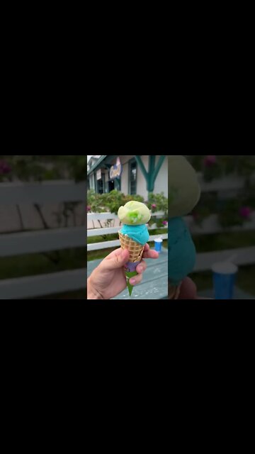 COWS Icecream in Prince Edward Island